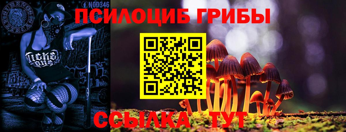 Рославль  Псилоцибиновые грибы мухоморы  наркошоп  Вход с VPN 
