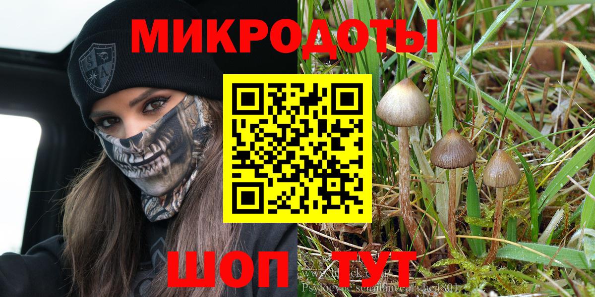 Галлюциногенные грибы MAGIC MUSHROOMS Рославль